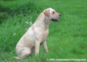 Bella at the Park 007.jpg